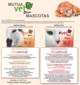 vet_plan_1_modificat